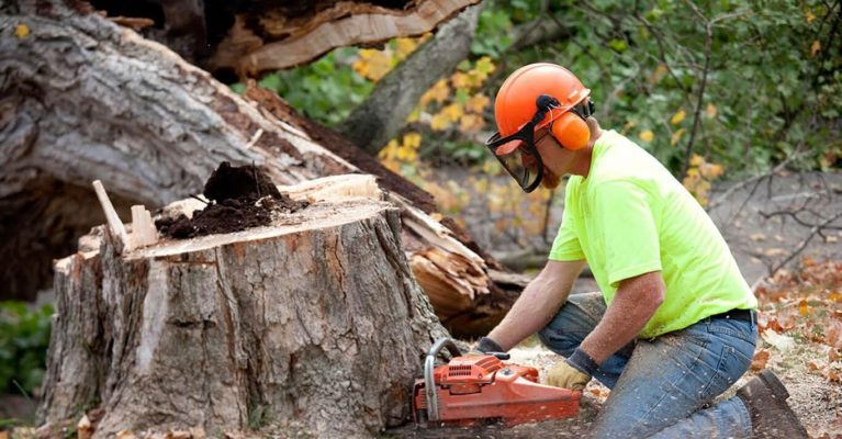 Tree Stump Removal