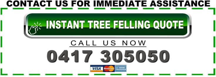 Tree Loppers Gold Coast | Emergency Tree Felling & Removals